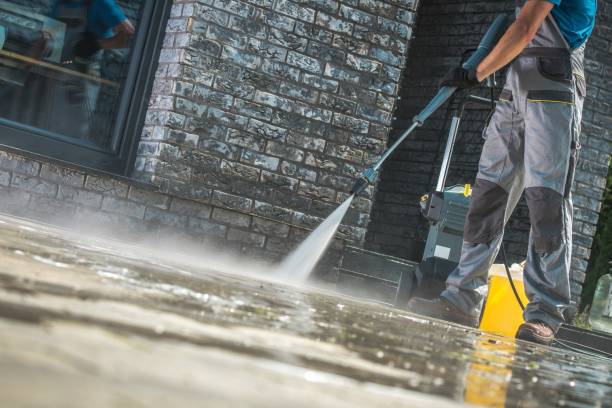 Best Sidewalk and Walkway Cleaning  in Needville, TX