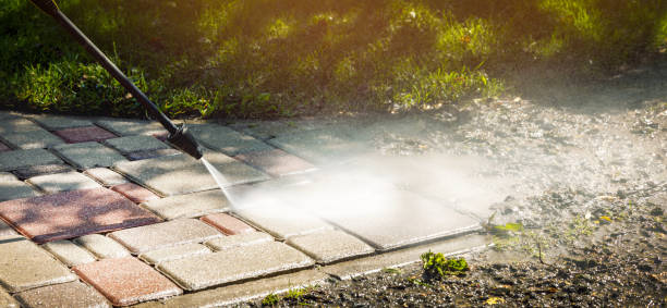 Best Gutter Cleaning  in Needville, TX